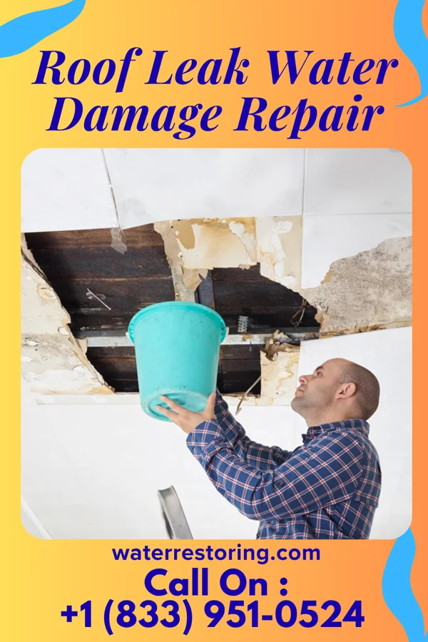 Roof Leak Water Damage Repair in Centerville, MN
